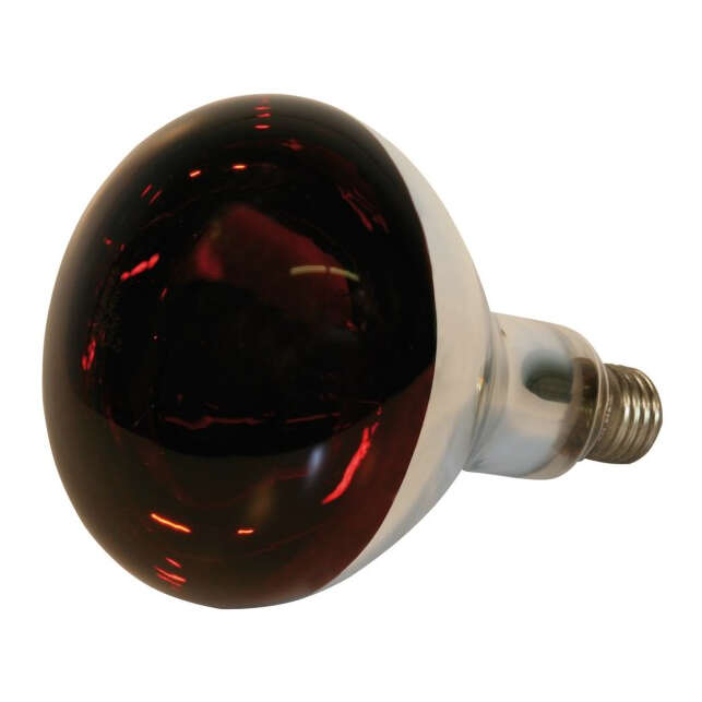 KERBL Hartglas-Infrarotlampe